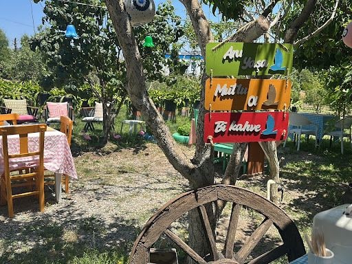 Fotoğraf 13