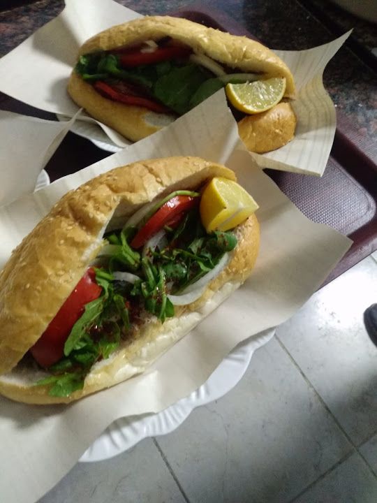 Fotoğraf 15