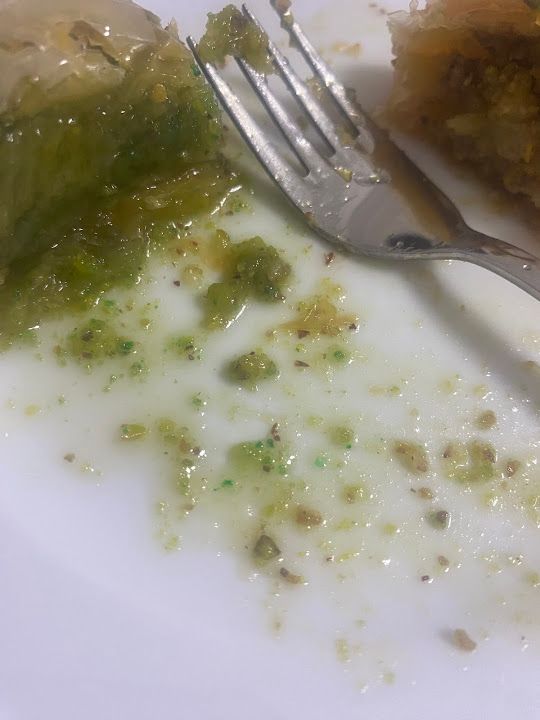 Fotoğraf 16