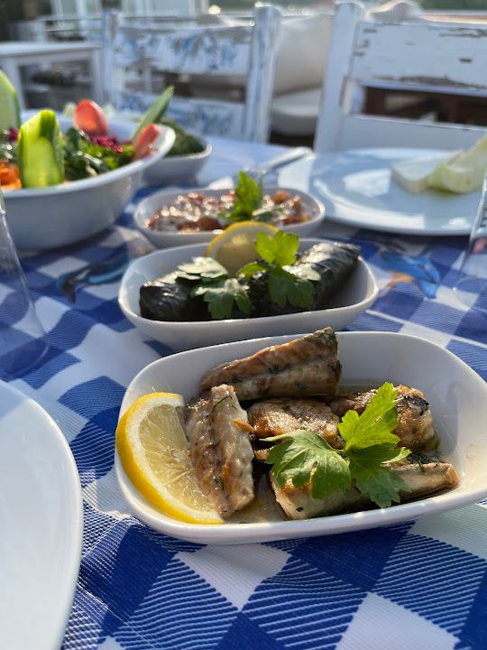 Fotoğraf 14