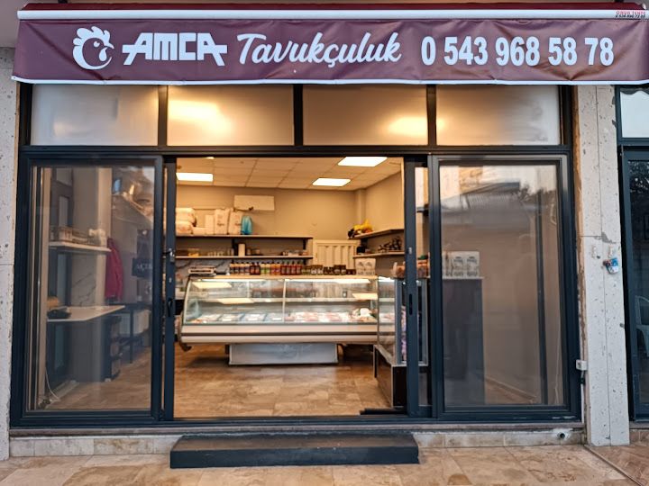 Amca Tavukçuluk