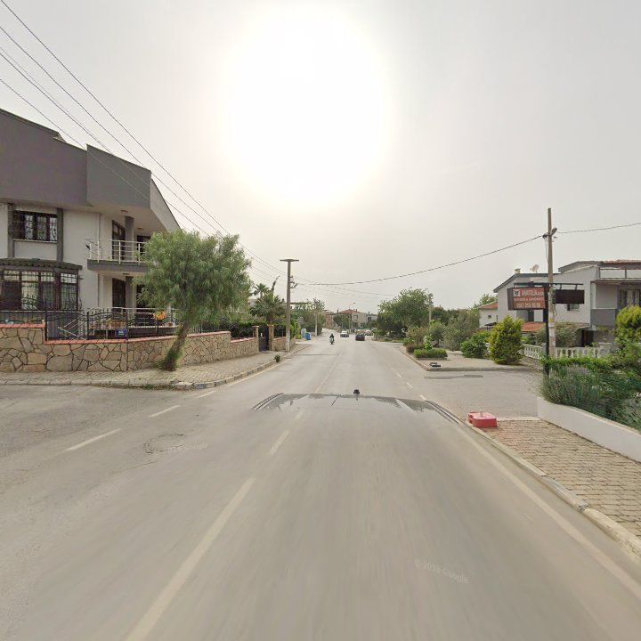 Fotoğraf 7