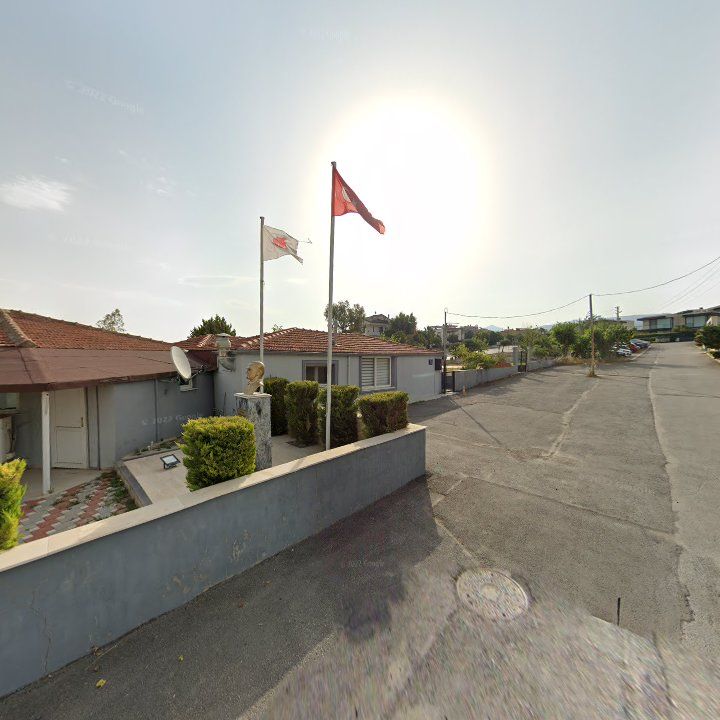 Fotoğraf 6