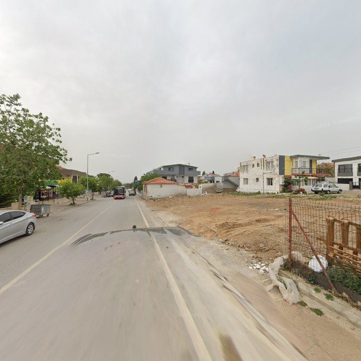 Fotoğraf 12