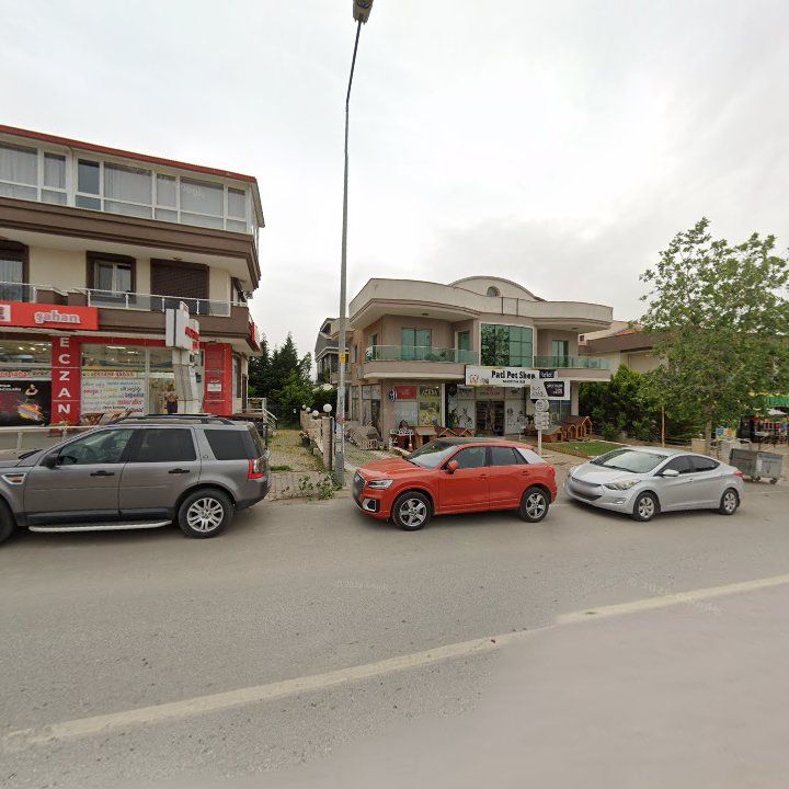 Fotoğraf 11