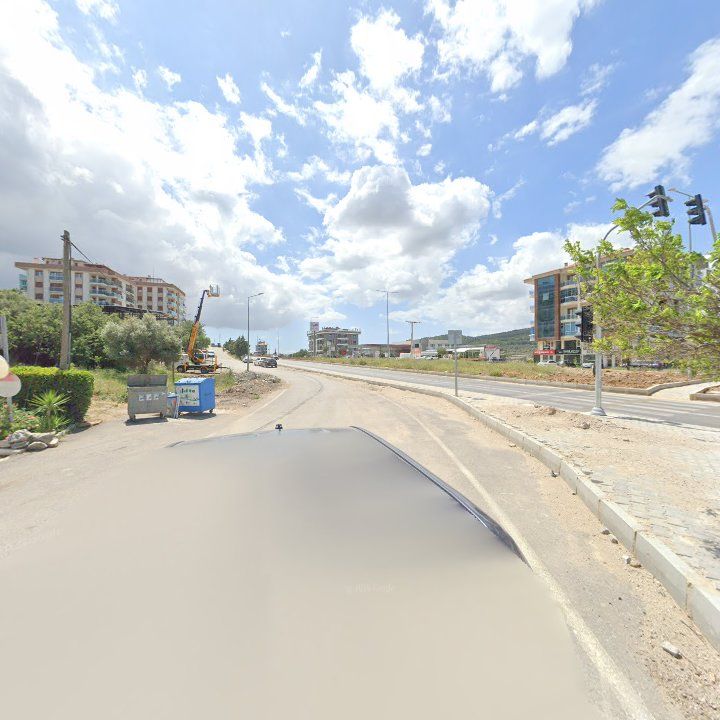 Fotoğraf 11
