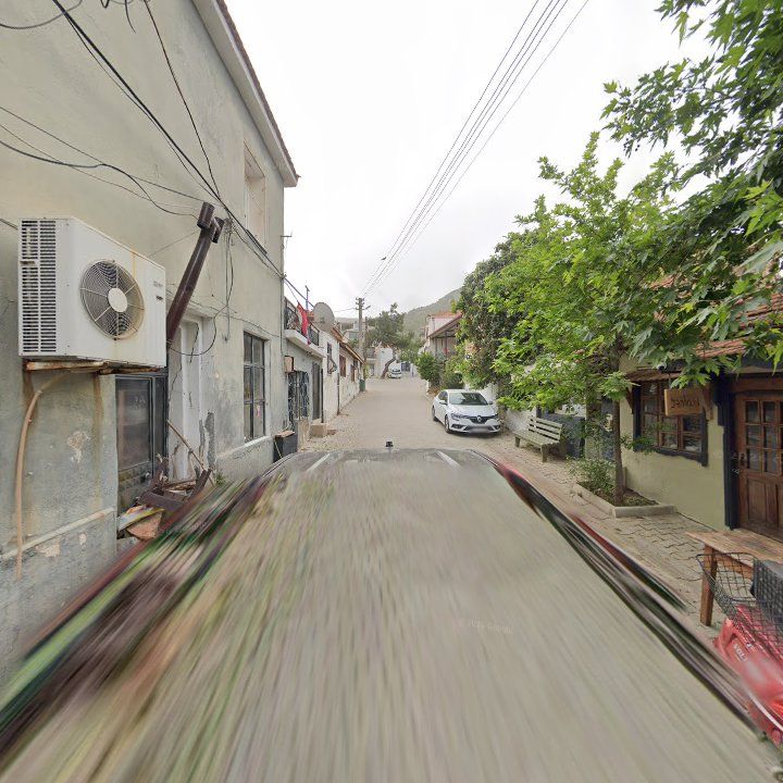 Fotoğraf 9