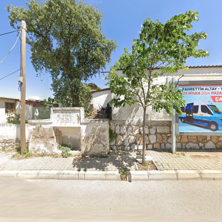 Fotoğraf 7