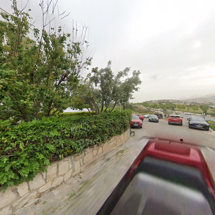 Fotoğraf 13