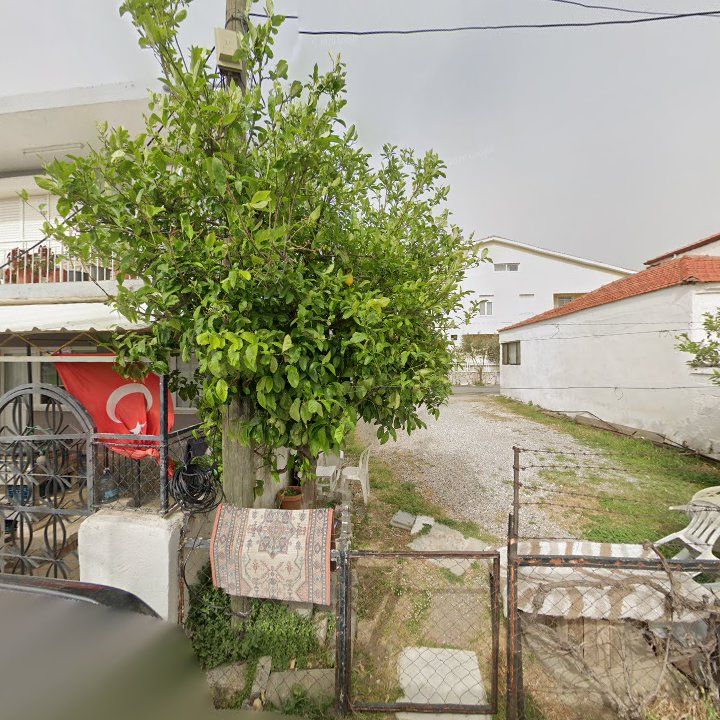 Fotoğraf 10