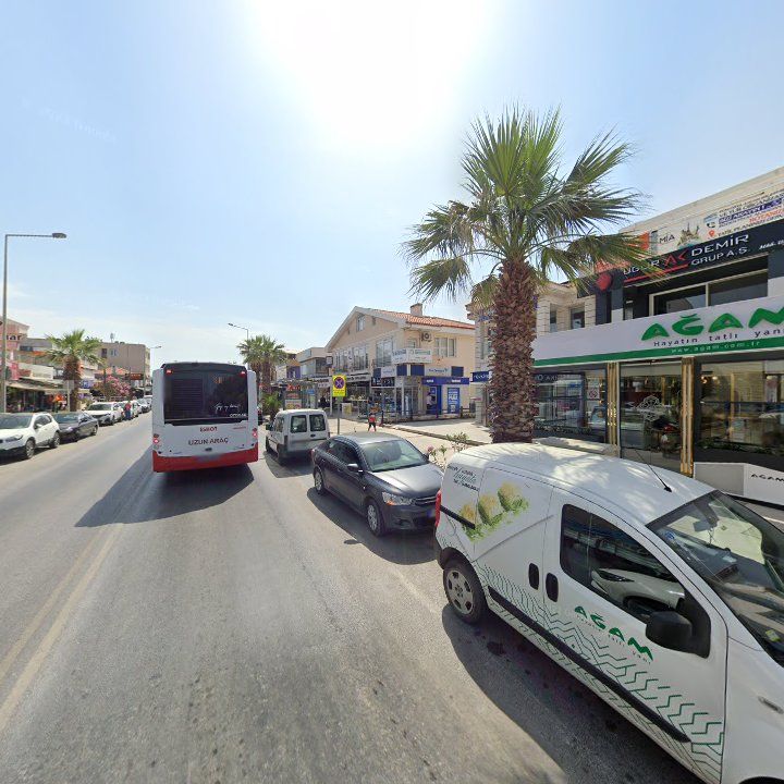 Fotoğraf 7