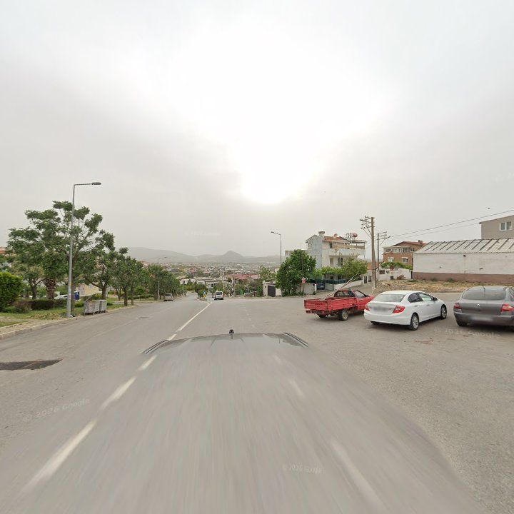 Fotoğraf 9