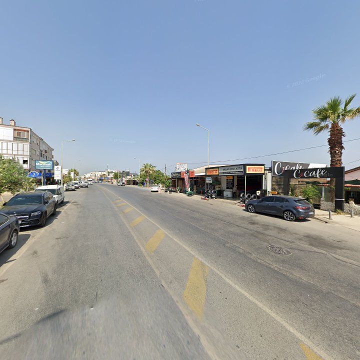 Fotoğraf 12