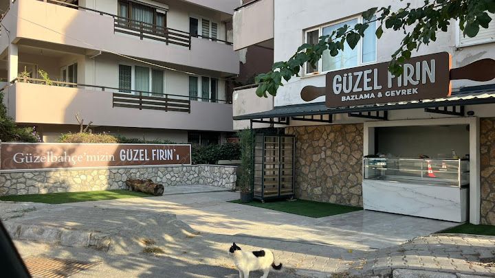 Fotoğraf 4