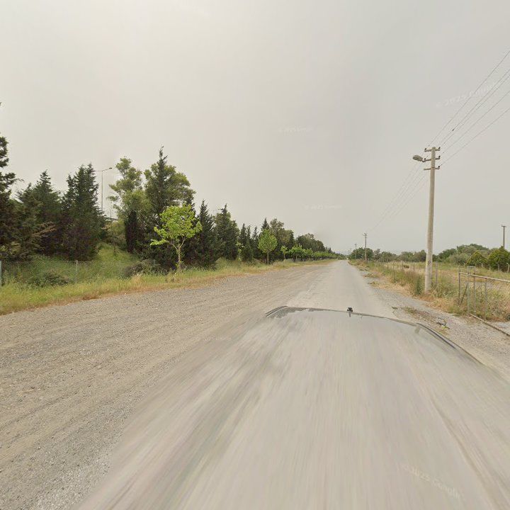 Fotoğraf 8