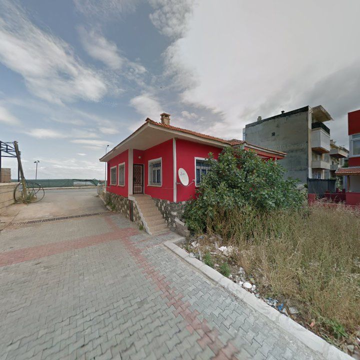 Fotoğraf 5