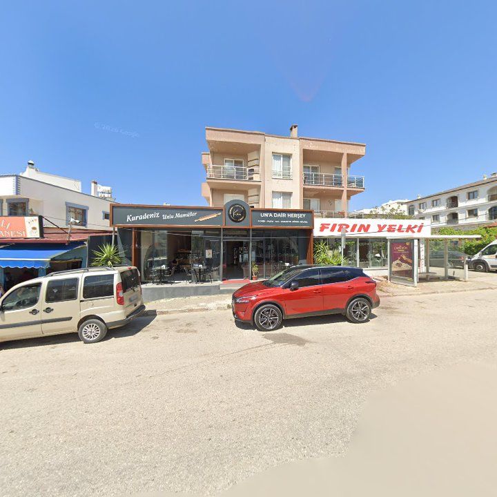 Fotoğraf 16
