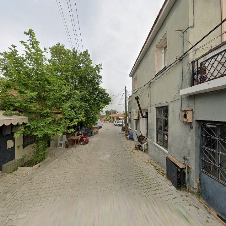 Fotoğraf 10