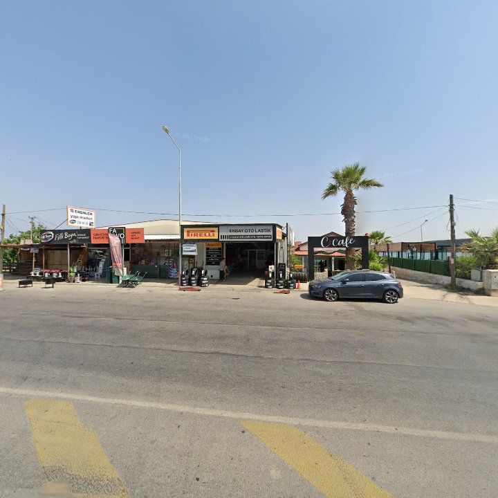 Fotoğraf 11