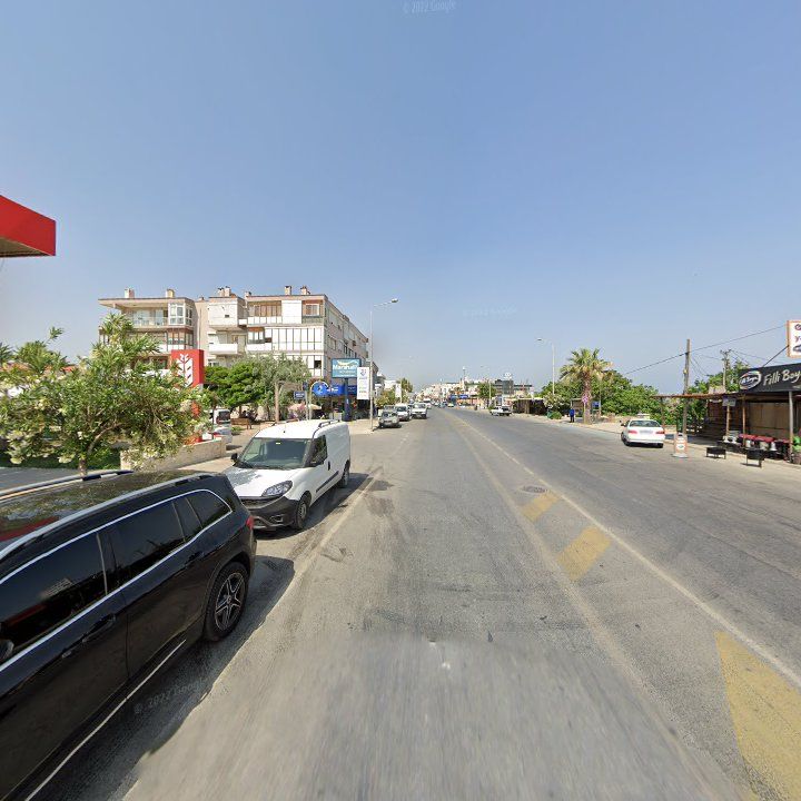 Fotoğraf 10