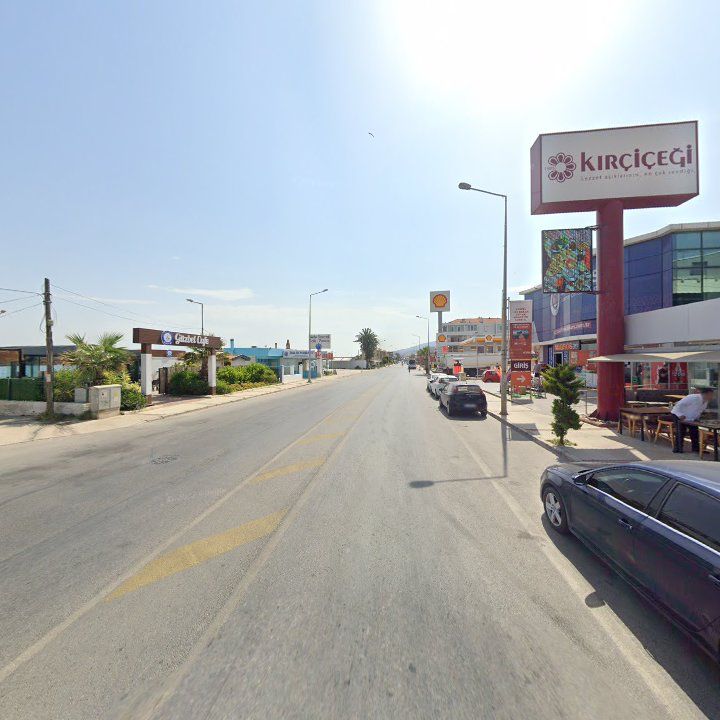 Fotoğraf 12