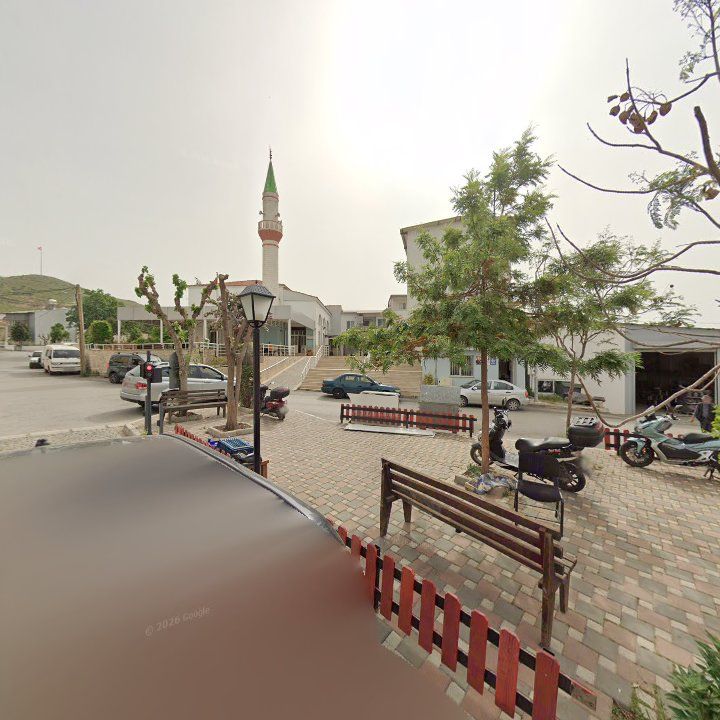 Fotoğraf 8