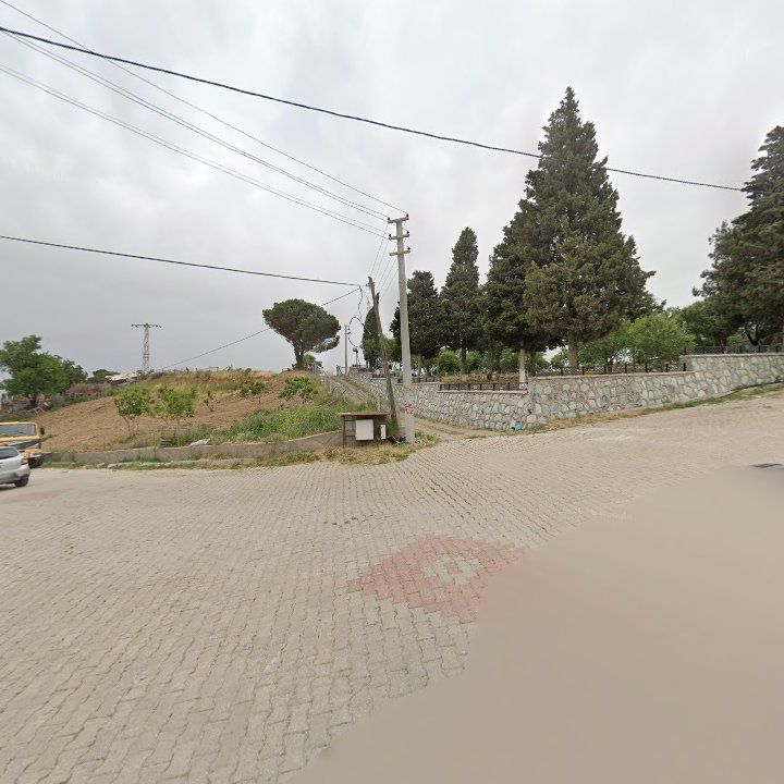 Fotoğraf 7