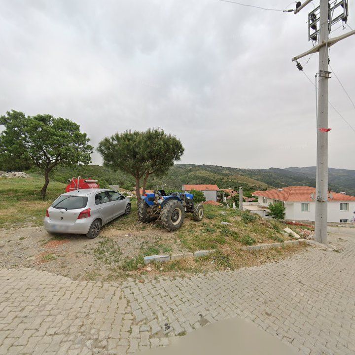 Fotoğraf 9