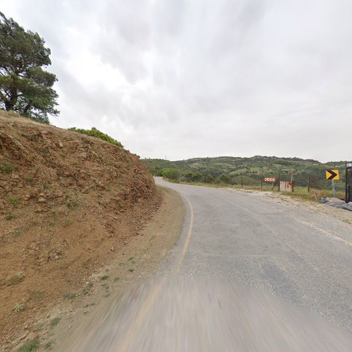 Fotoğraf 11