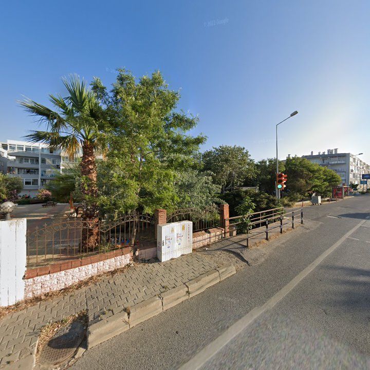 Fotoğraf 12