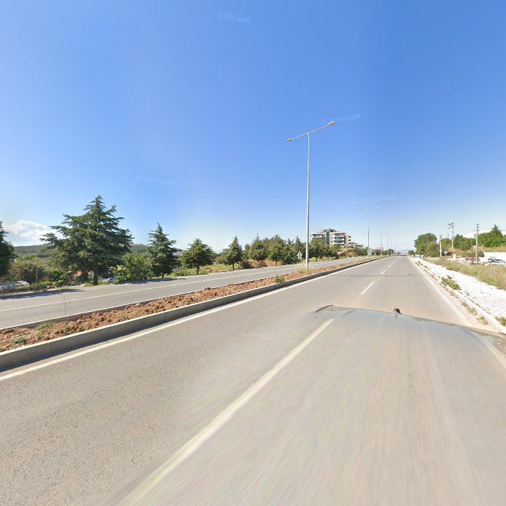Fotoğraf 11