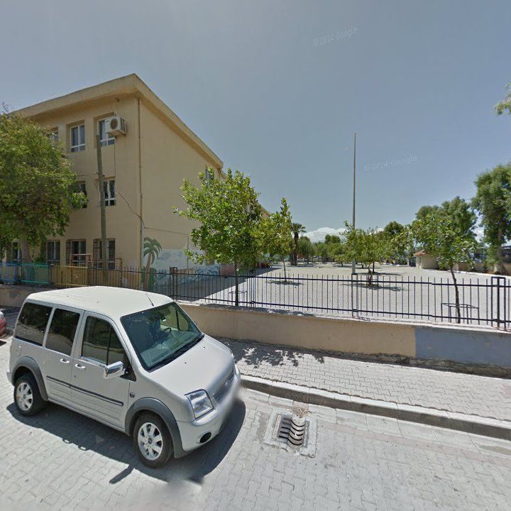 Fotoğraf 8