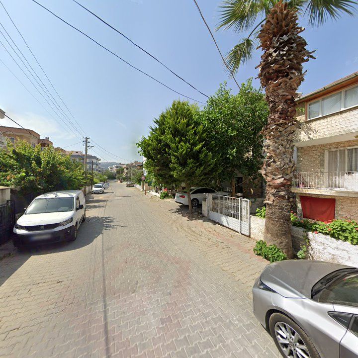 Fotoğraf 11