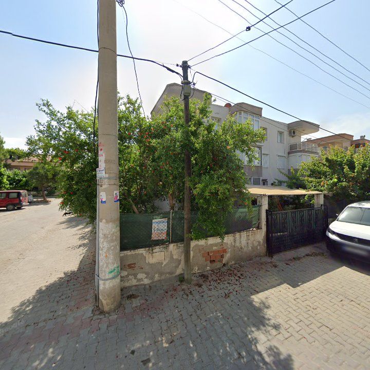 Fotoğraf 10