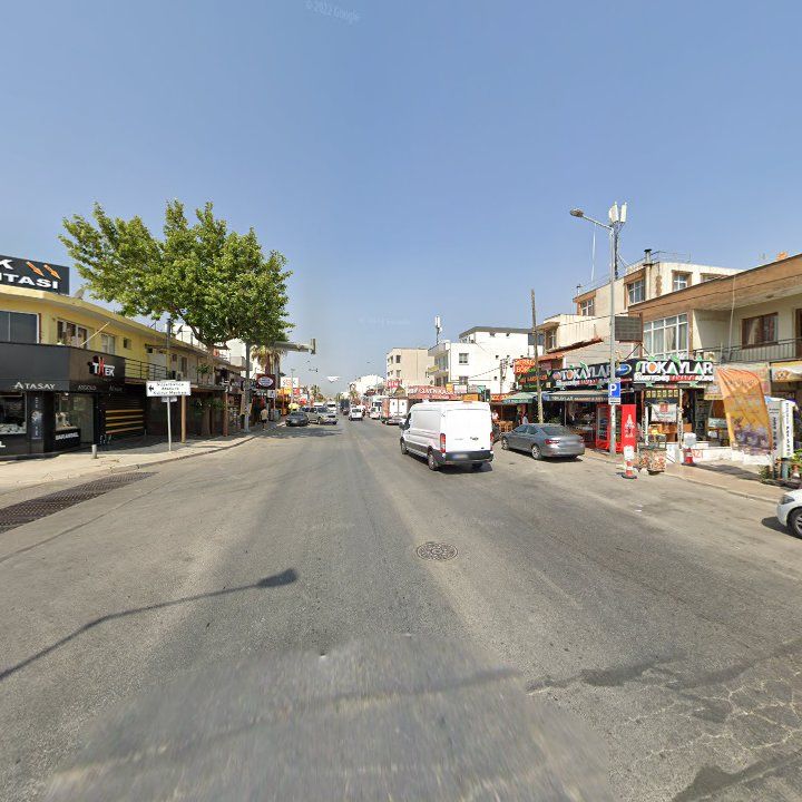 Fotoğraf 11