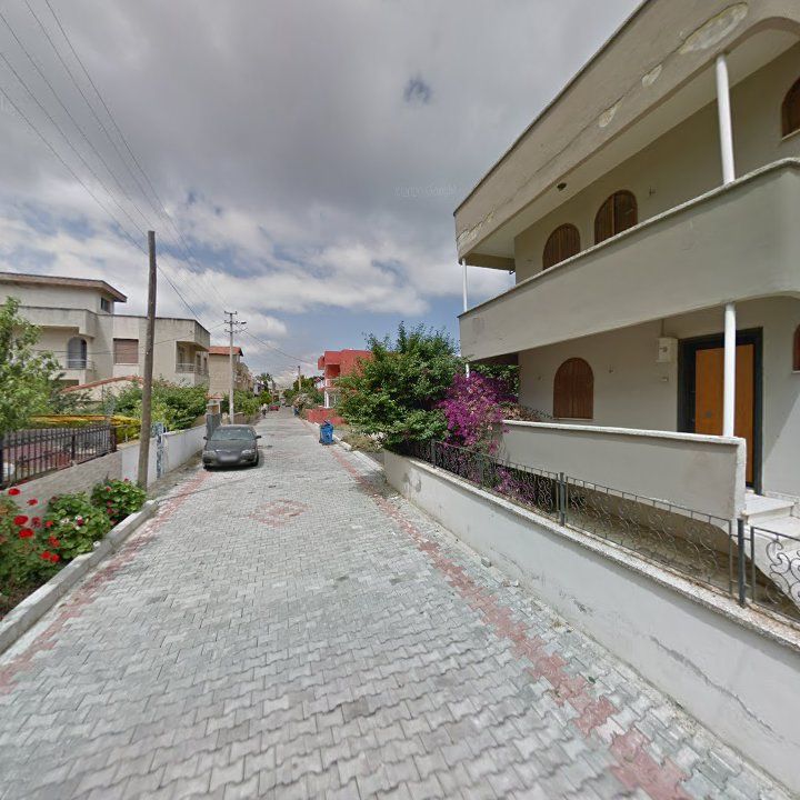 Fotoğraf 9