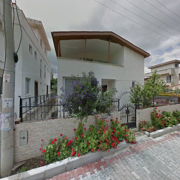 Fotoğraf 8