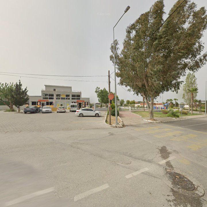 Fotoğraf 10