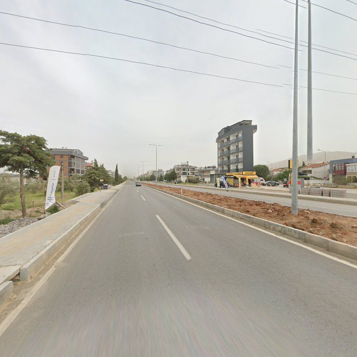 Fotoğraf 10