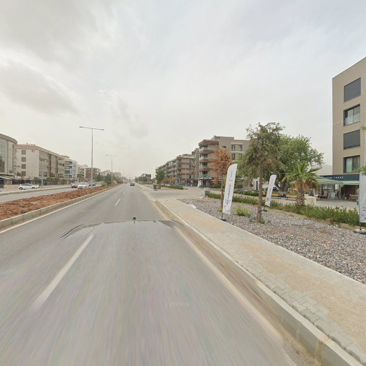 Fotoğraf 12