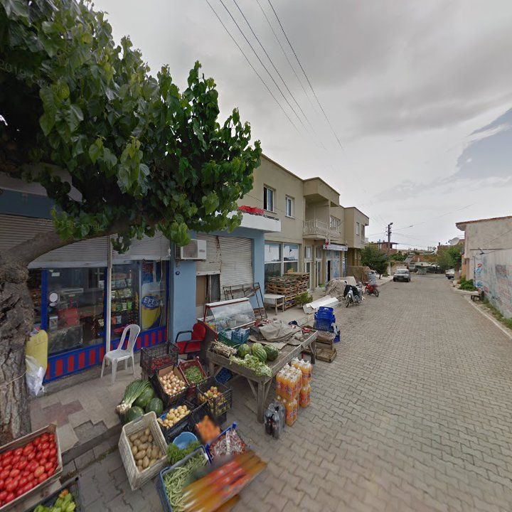 Fotoğraf 4