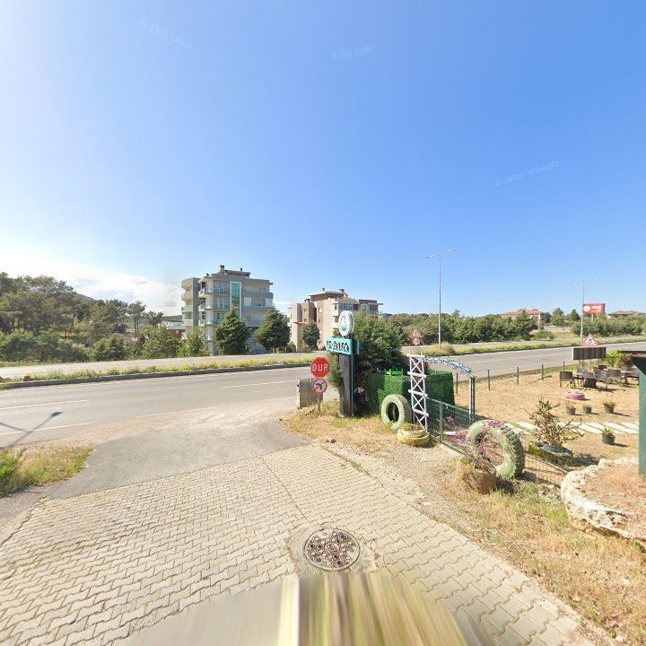 Fotoğraf 11