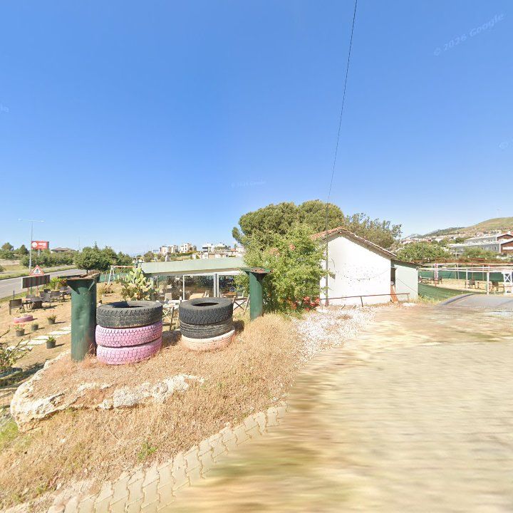 Fotoğraf 8