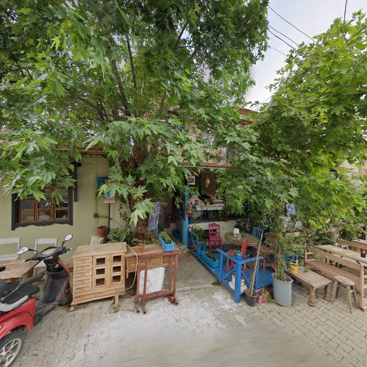 Fotoğraf 9