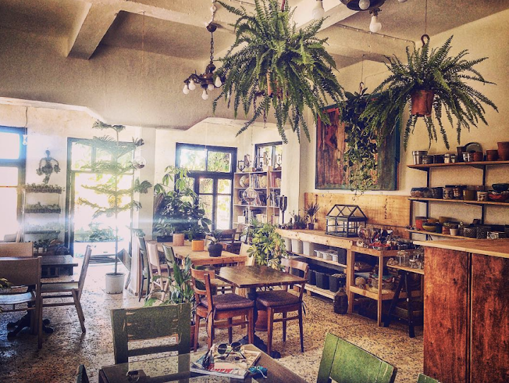 Plantsta Botanic & Cafe