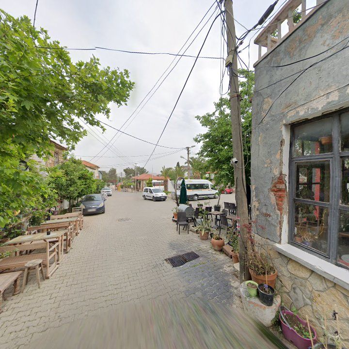 Fotoğraf 10