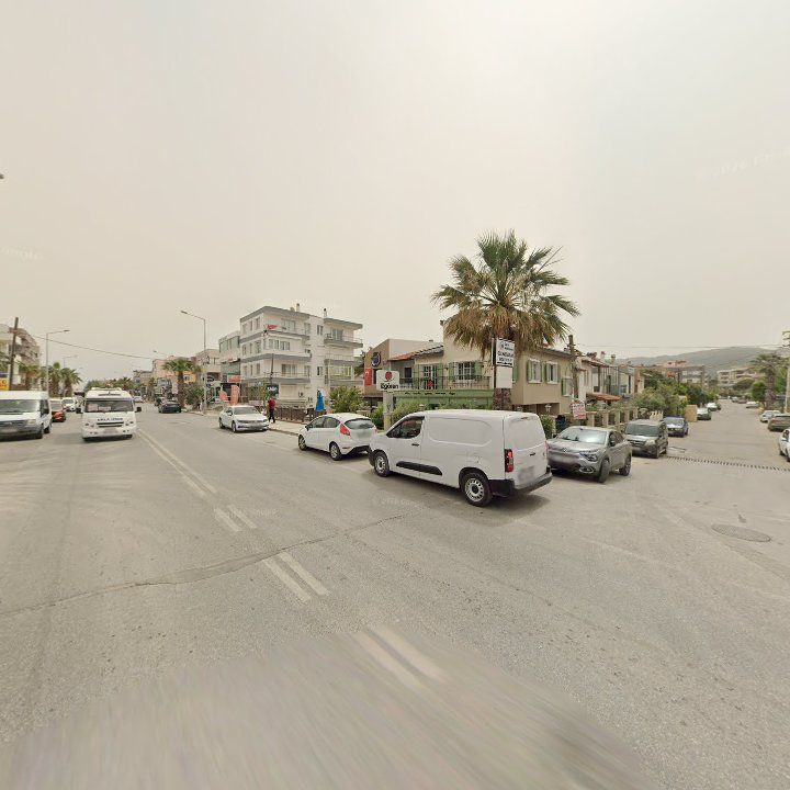 Fotoğraf 12