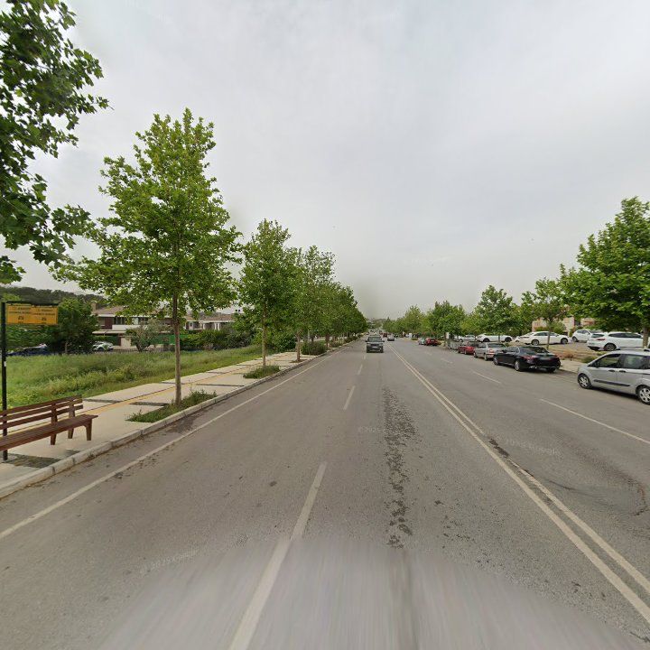 Fotoğraf 13