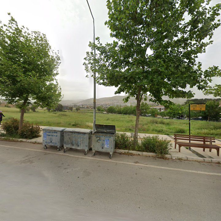 Fotoğraf 12