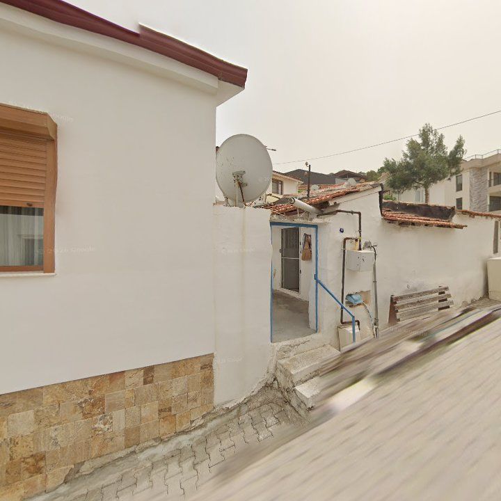 Fotoğraf 6